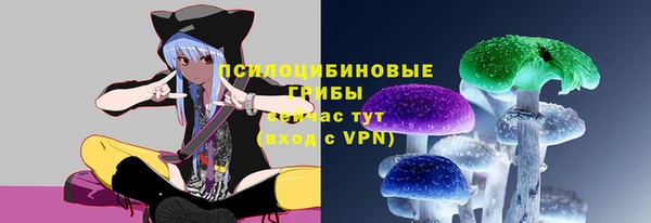 не бодяженный Арсеньев