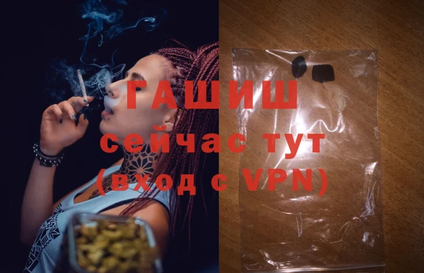 ПСИЛОЦИБИНОВЫЕ ГРИБЫ Баксан