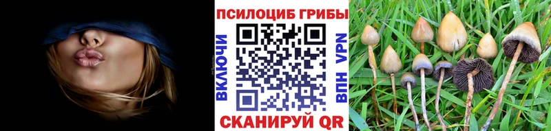 Галлюциногенные грибы Psilocybine cubensis Семёнов