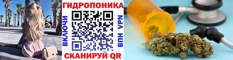 Купить где  Семёнов  Канабис VHQ 
